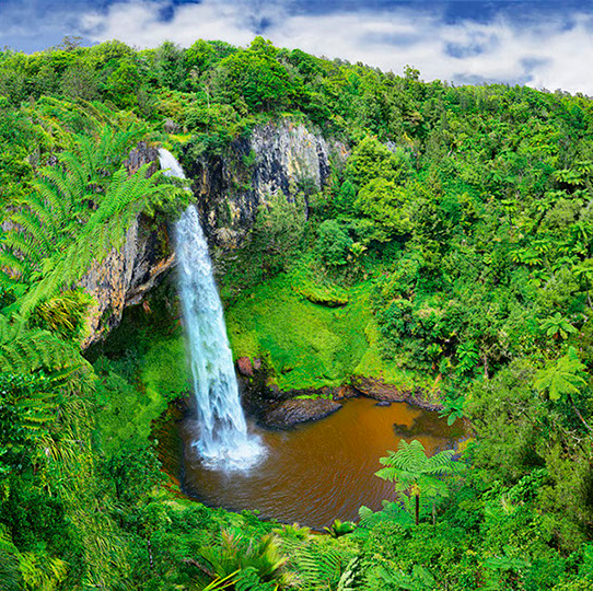 Wairēinga - Bridal Veil Falls, New Zealand, Northern Island